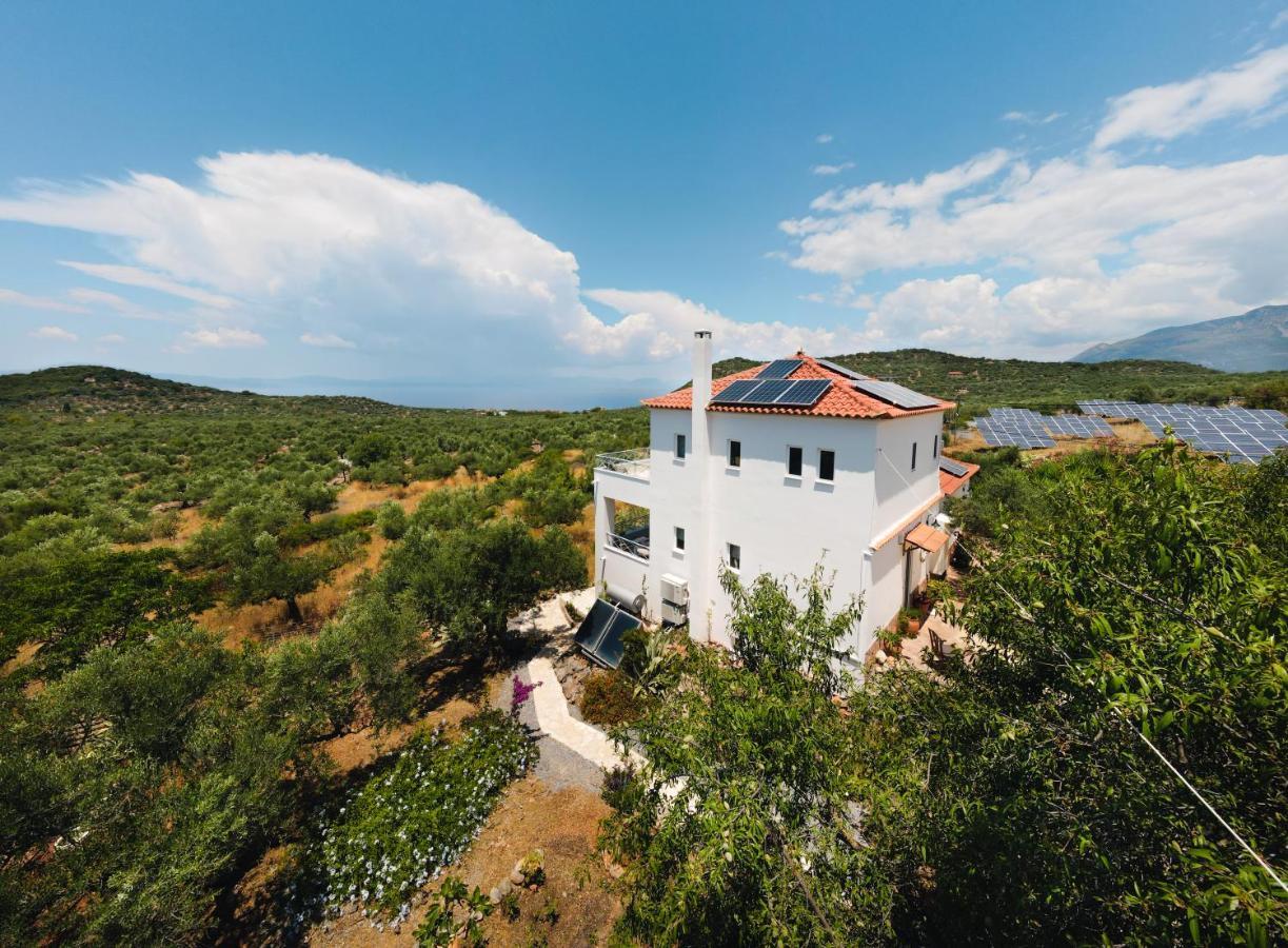 Appartement In Olive Groove House Peloponnesos Western Mani Kalianeika Eksteriør billede